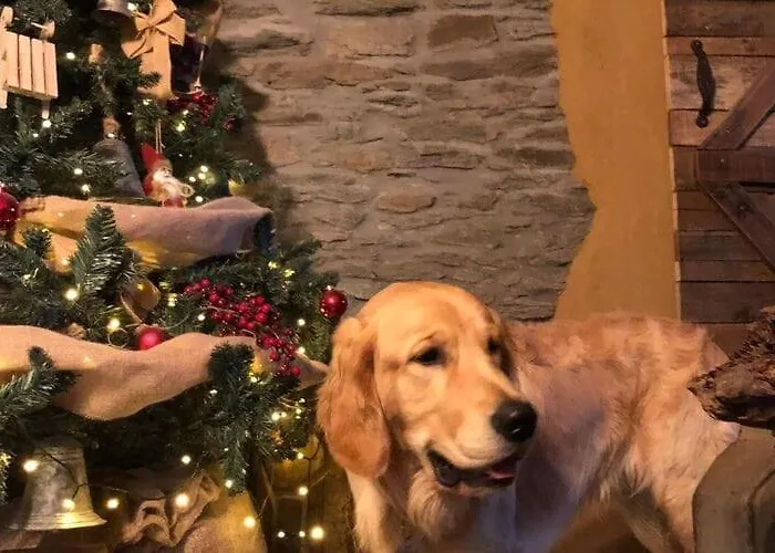 In With Bubble Bath Дом отдыха Бастонь